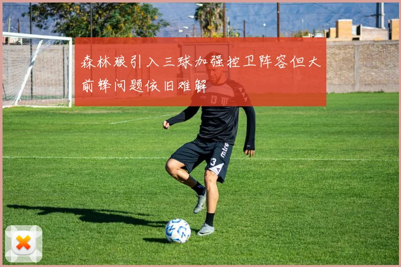 森林狼引入三球加强控卫阵容但大前锋问题依旧难解