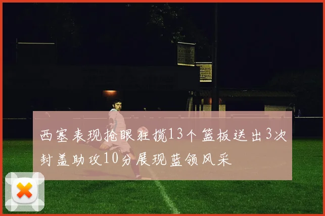 西塞表现抢眼狂揽13个篮板送出3次封盖助攻10分展现蓝领风采