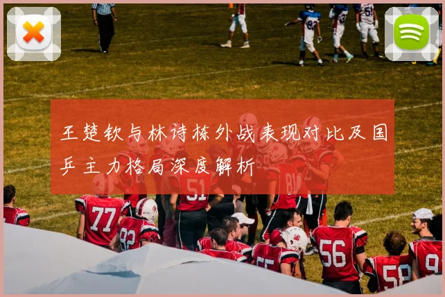 王楚钦与林诗栋外战表现对比及国乒主力格局深度解析